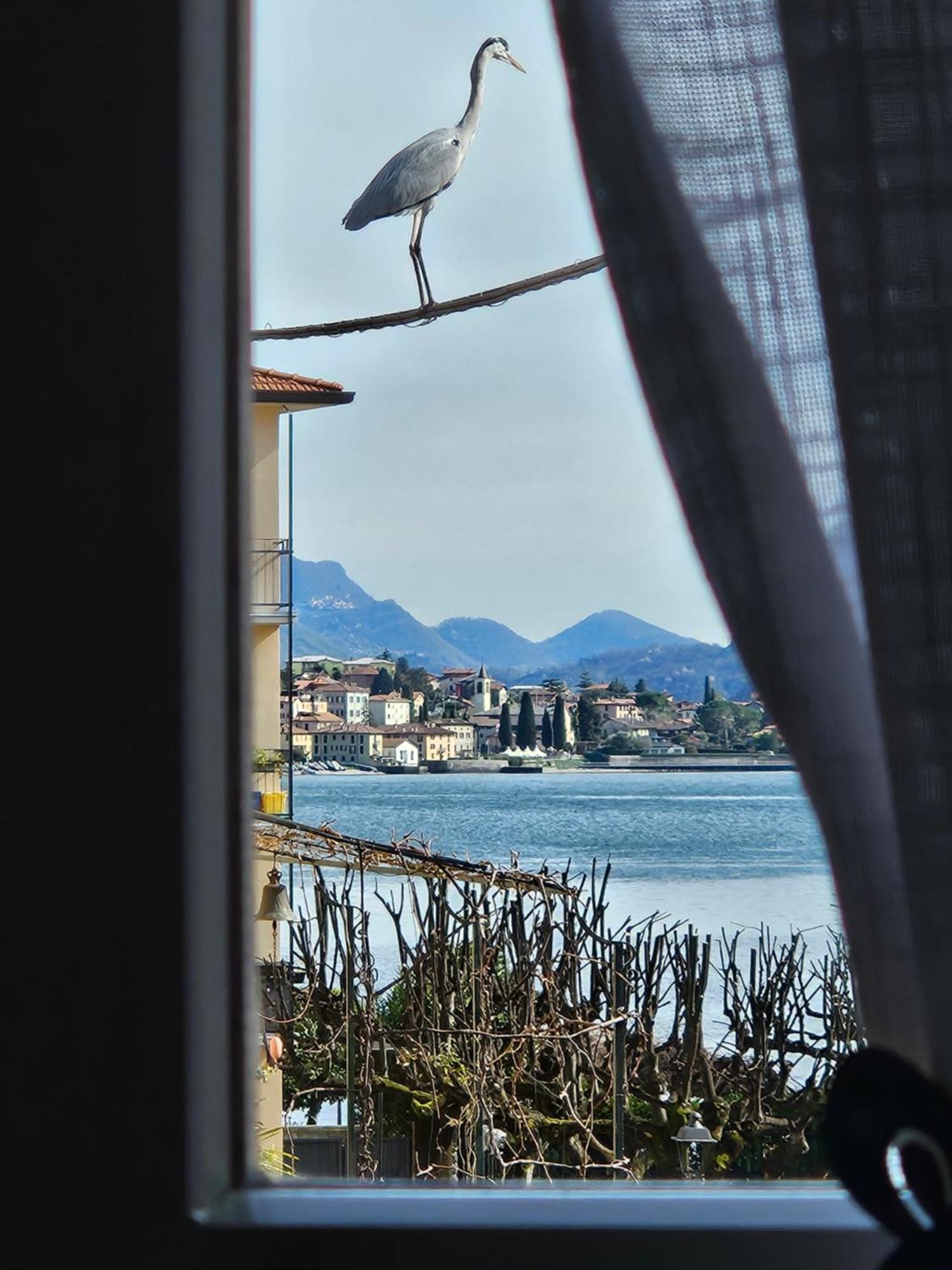 L'Airone - Casa Vacanza Mandello del Lario Kültér fotó